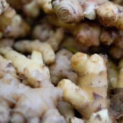 Ginger